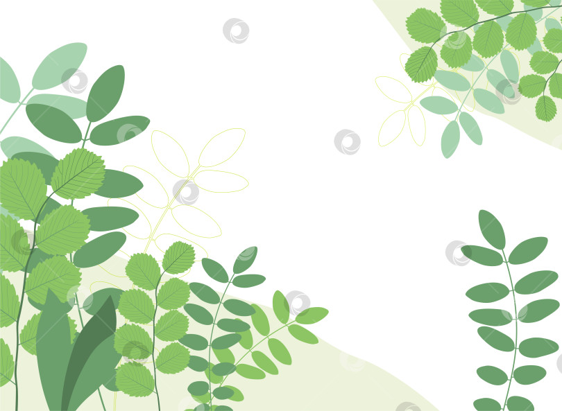 Скачать Разнообразные зеленые листья. Узор из зеленых листьев фотосток Ozero