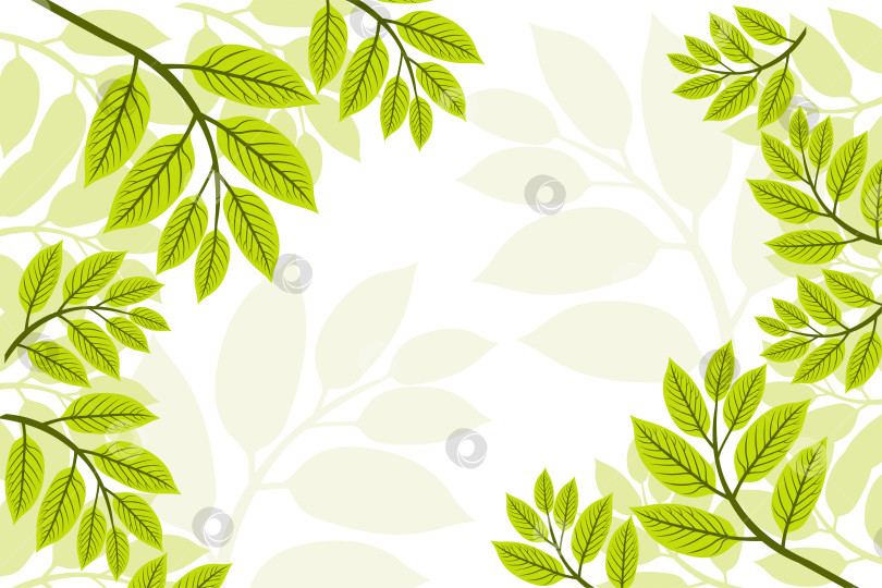 Скачать Разнообразные зеленые листья. Узор из зеленых листьев фотосток Ozero