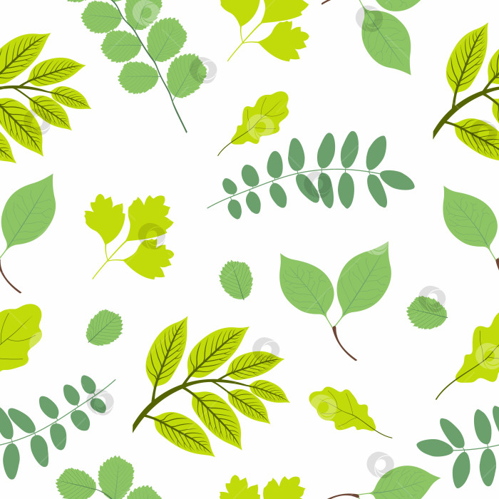Скачать Разнообразные зеленые листья. Узор из зеленых листьев фотосток Ozero