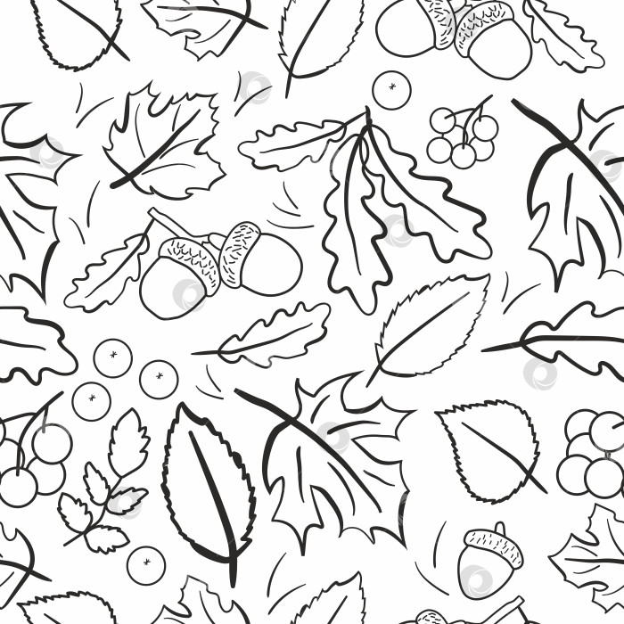 Скачать Осенние листья, ягоды и желуди фотосток Ozero