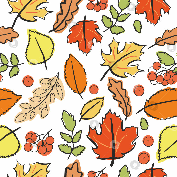 Скачать Осенние листья клена, дуба и рябины фотосток Ozero