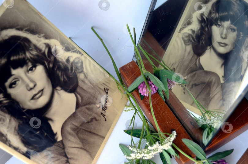 Скачать Портрет молодой Аллы Пугачевой, отражающийся в зеркале фотосток Ozero