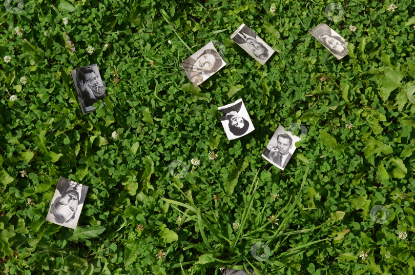 Скачать Ч\б фото известных советских актеров кино разбросанных на поляне фотосток Ozero