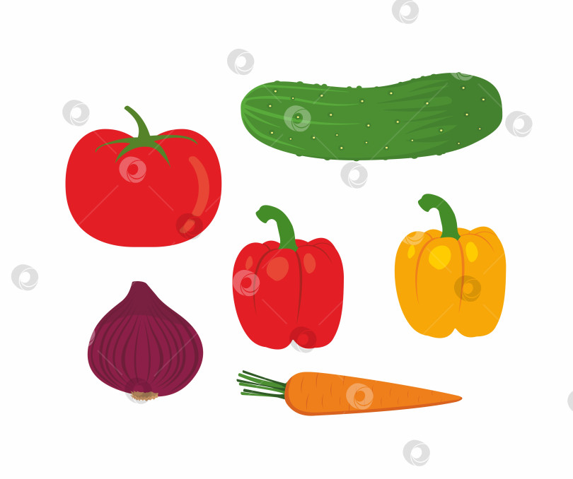 Скачать Свежие овощи. Огурец, помидор, перец, лук, морковь фотосток Ozero