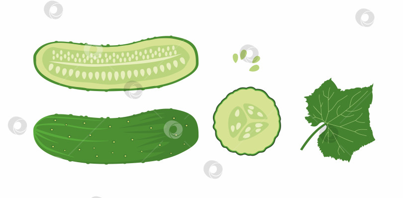 Скачать Зеленые огурцы фотосток Ozero