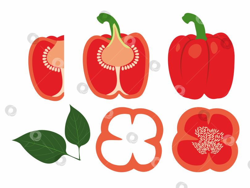 Скачать Красный болгарский перец фотосток Ozero