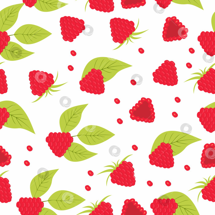 Скачать Узор из малины. Узор из ягод и фруктов фотосток Ozero
