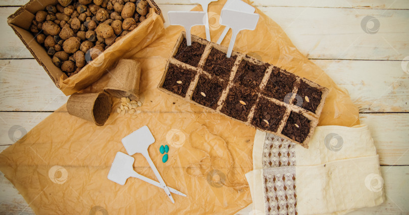 Скачать Вид сверху на семена и ячейки с почвой на деревянном фоне. Выращивание рассады в торфяных стаканчиках. Концепция весеннего озеленения дома. фотосток Ozero