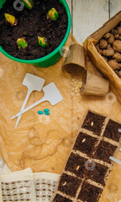 Скачать Вид сверху на семена и ячейки с почвой на деревянном фоне. Выращивание рассады в торфяных стаканчиках. Концепция весеннего озеленения дома. фотосток Ozero