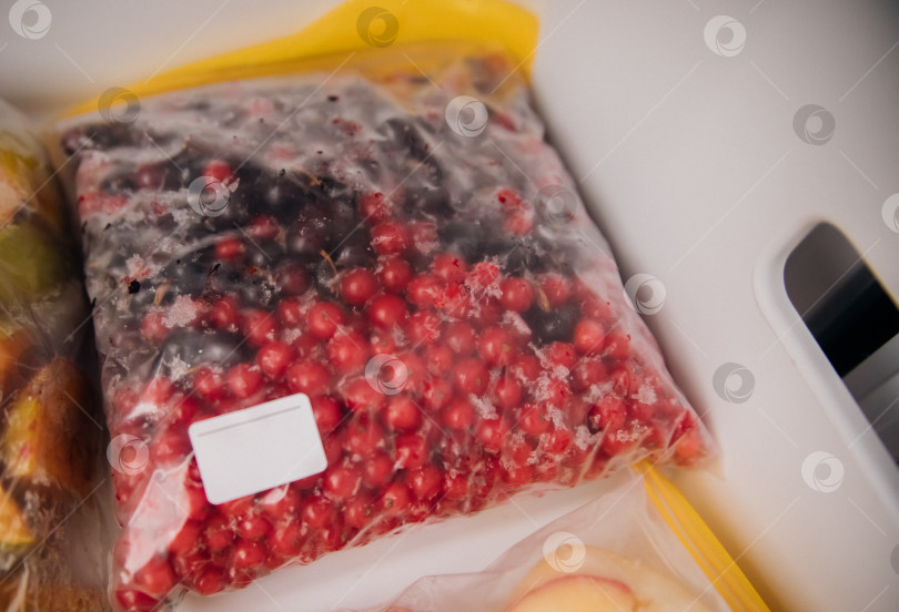 Скачать Фрукты и ягоды упаковывают в полиэтиленовые пакеты и хранят в морозильной камере. Свежие и полезные продукты в любое время года. фотосток Ozero