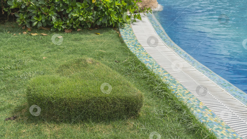 Скачать Фрагмент голубого плавательного бассейна. Выложенный мозаикой периметр. фотосток Ozero