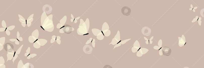 Скачать Горизонтальный баннер с бабочками фотосток Ozero