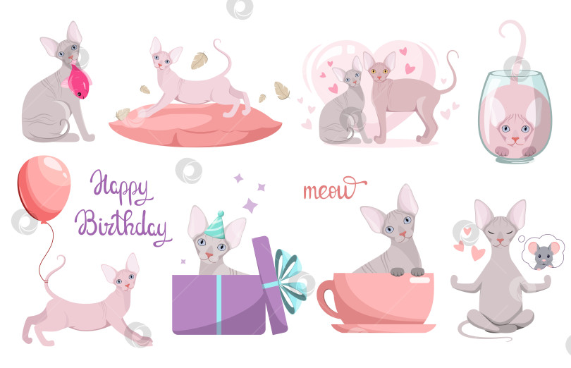 Скачать Набор забавных кошек-сфинксов фотосток Ozero