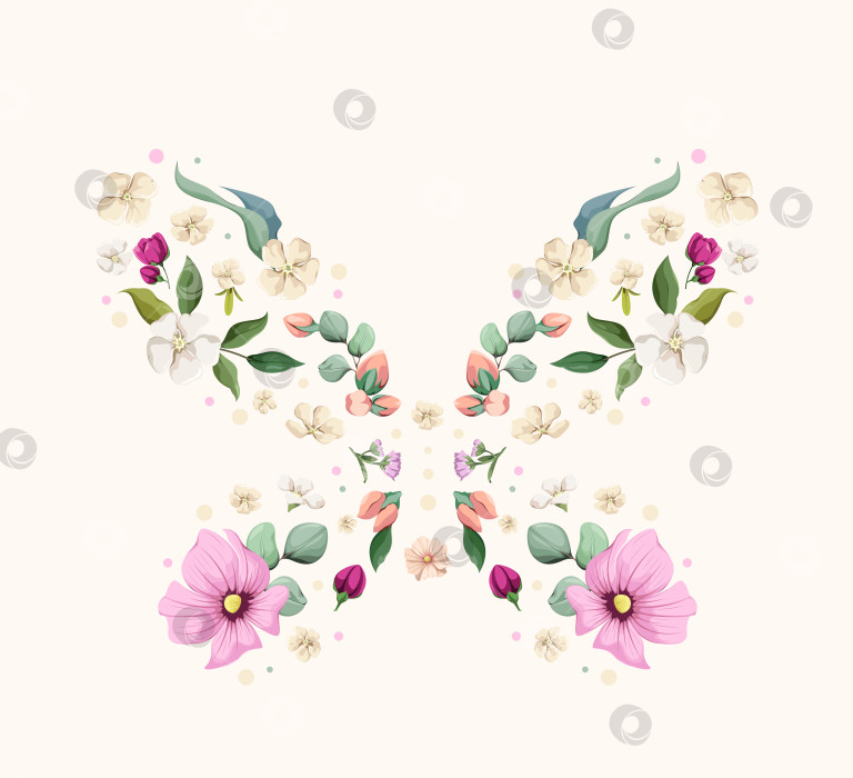 Скачать Цветочная бабочка фотосток Ozero