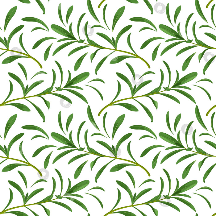 Скачать Бесшовный узор с зелеными веточками фотосток Ozero