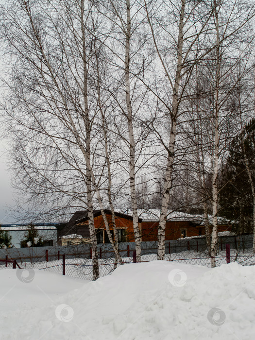 Скачать Заснеженный дачный поселок в пасмурный день фотосток Ozero