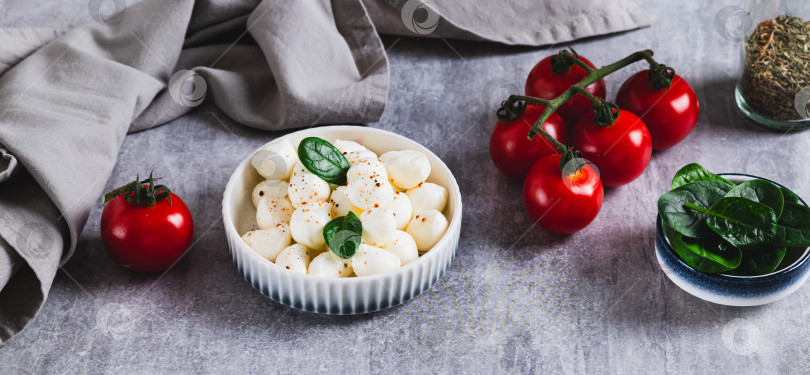 Скачать Сыр моцарелла в виде маленьких шариков в миске на столе веб-баннер фотосток Ozero