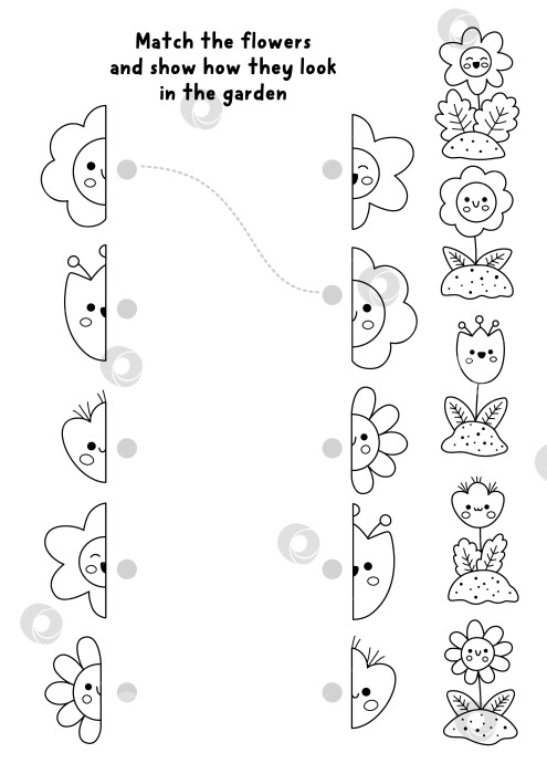 Скачать Соедините половинки цветов. Упражнение по подбору черно-белых цветов в саду. Весенне-летняя образовательная викторина для детей на развитие внимания. Игра-раскраска для печати с улыбающимися кавайными растениями фотосток Ozero