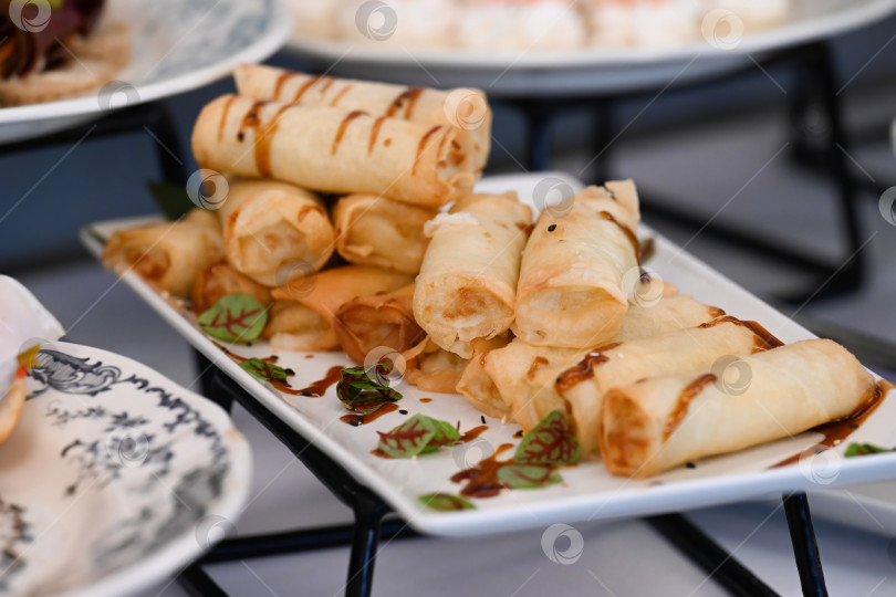 Скачать Разнообразная закуска с хрустящими блинчиками с начинкой и бальзамической глазурью на белом блюде для украшения мероприятия или вечеринки в отсутствие людей. фотосток Ozero