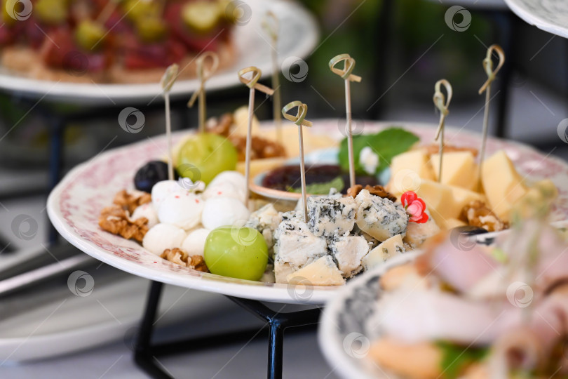 Скачать Сырное ассорти с голубым сыром моцареллой грецкими орехами и виноградом на фуршетном столе для украшения мероприятия или вечеринки вкусными закусками фотосток Ozero