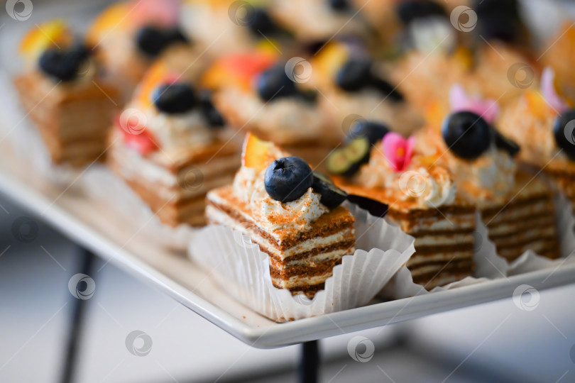 Скачать Кейтеринговый десерт с медовым тортом, кусочками медовика и черникой в бумажной обертке на фуршетном столе для украшения мероприятия без людей и места для копирования фотосток Ozero