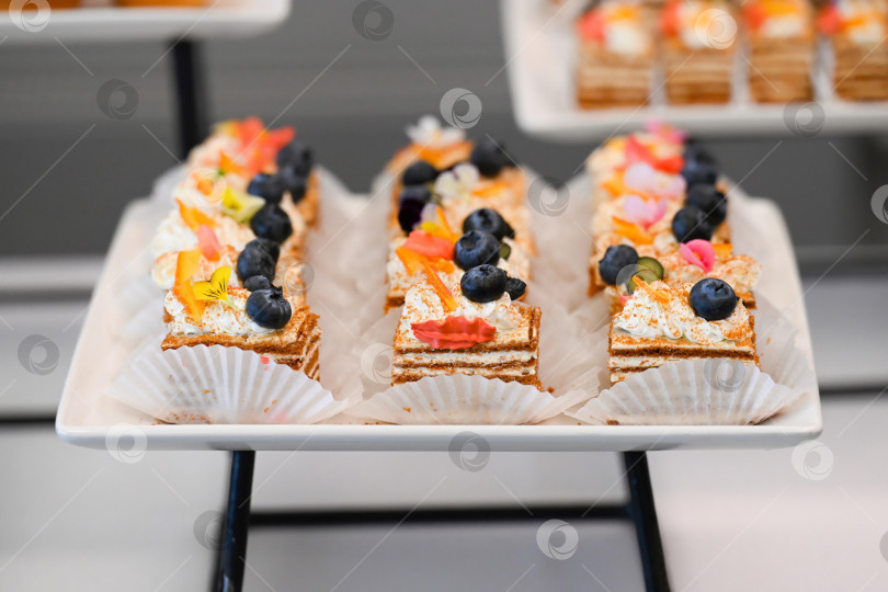 Скачать Кейтеринговый десерт с медовым тортом, ломтиками медовика, покрытыми кремом и черникой, на фуршетном столе для украшения мероприятия в отсутствие людей. фотосток Ozero