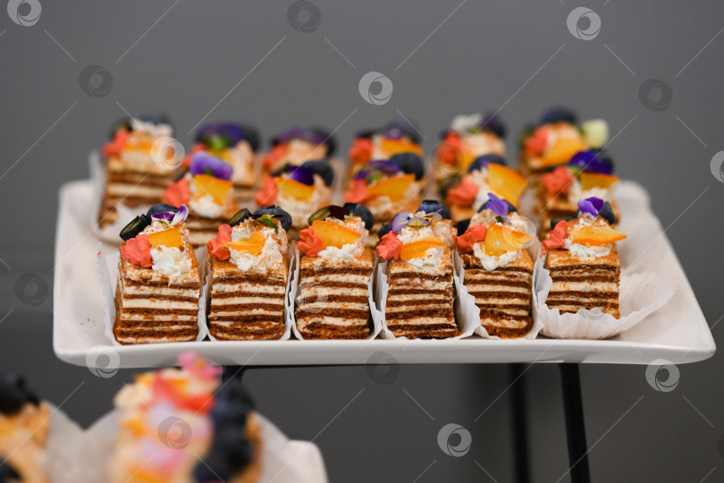 Скачать Разнообразный кейтеринговый десерт с медовым тортом кусочками медовика и черникой на фуршетном столе для украшения мероприятия или вечеринки в отсутствие людей и свободного пространства фотосток Ozero