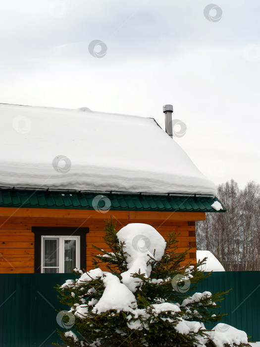 Скачать Заснеженный дачный поселок в пасмурный день фотосток Ozero