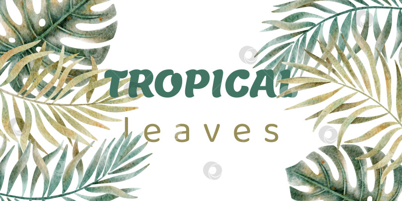 Скачать Акварельная композиция с тропическими листьями монстеры и пальмы и надписью Tropical Leaves фотосток Ozero