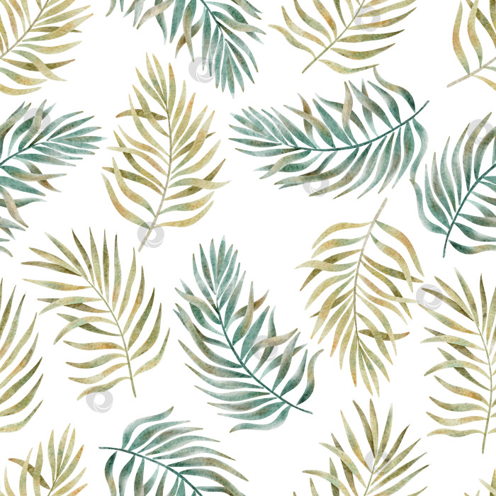 Скачать Бесшовный акварельный узор с тропическими пальмовыми листьями фотосток Ozero