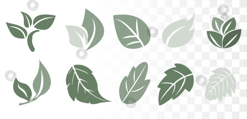 Скачать Вектор Dusty Sage Green Leaf представляет собой набор минималистичных ботанических иконок для экологичного брендинга, роскошной упаковки средств по уходу за кожей и создания образа хорошего самочувствия. Чистые дорожки. фотосток Ozero