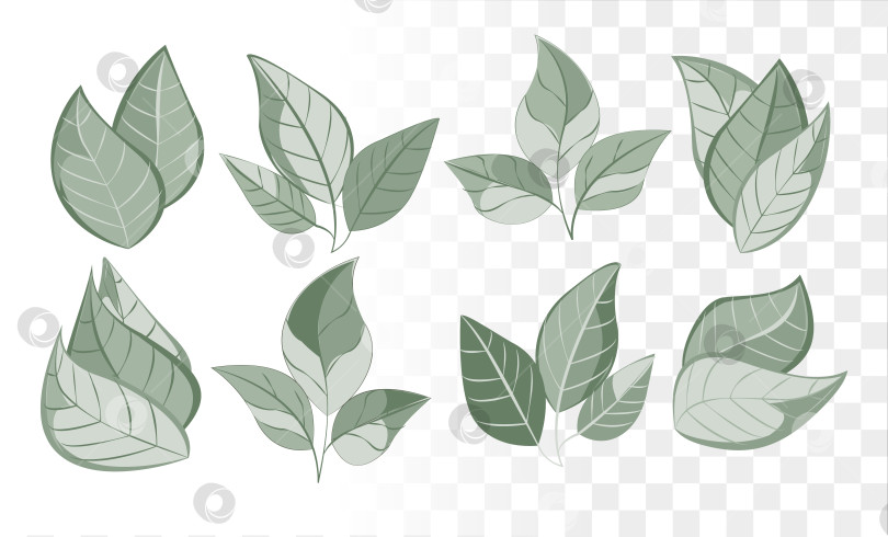 Скачать Вектор Dusty Sage Green Leaf представляет собой набор минималистичных ботанических иконок для экологичного брендинга, роскошной упаковки средств по уходу за кожей и создания образа хорошего самочувствия. Чистые дорожки фотосток Ozero