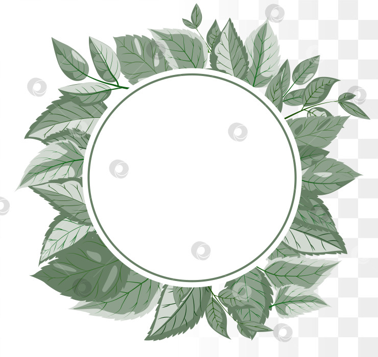 Скачать Современная ботаническая квадратная рамка с минималистичными листьями пыльно-зеленого шалфея для создания фирменного стиля органического ухода за кожей, велнес-стиля и свадебных приглашений. Чистые дорожки фотосток Ozero