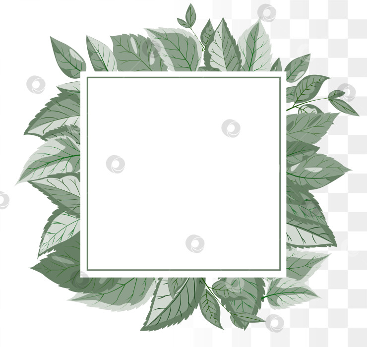 Скачать Современная ботаническая квадратная рамка с минималистичными листьями пыльно-зеленого шалфея для создания бренда органического ухода за кожей, велнес-стиля и свадебных приглашений. Чистые дорожки фотосток Ozero
