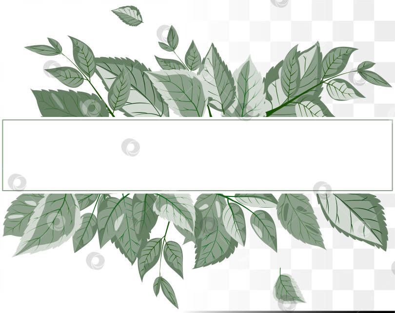 Скачать Современная ботаническая квадратная рамка с минималистичными листьями пыльно-зеленого шалфея для создания бренда органического ухода за кожей, велнес-стиля и свадебных приглашений. Чистые дорожки фотосток Ozero