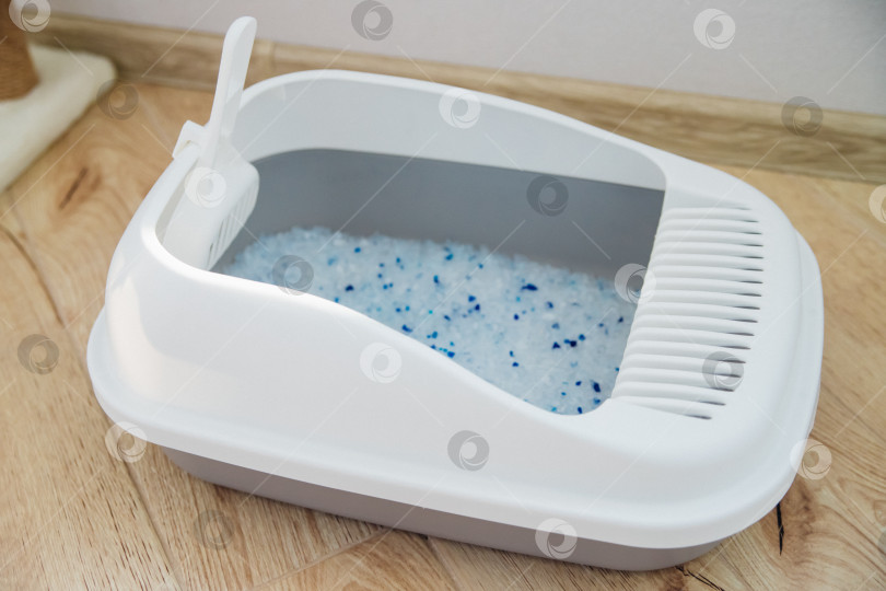 Скачать Контейнер с наполнителем для кошачьего туалета. Кошачий туалет в квартире, комфорт для питомца. фотосток Ozero