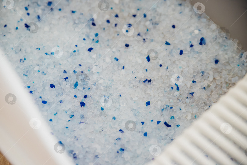 Скачать Контейнер с наполнителем для кошачьего туалета. Кошачий туалет в квартире, комфорт для питомца. фотосток Ozero