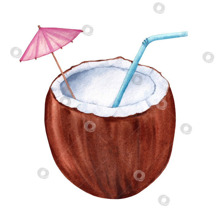 Скачать Акварельный тропический кокосовый коктейль. фотосток Ozero
