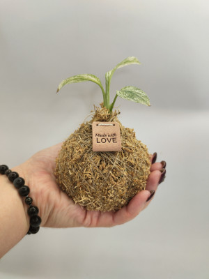 [object Object] undefined