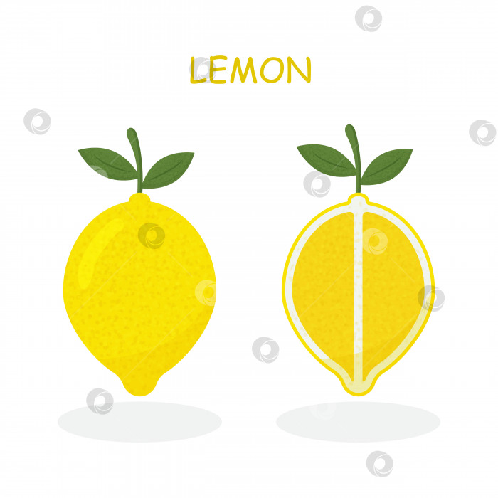 Скачать Свежие лимонные фрукты, коллекция векторных иллюстраций фотосток Ozero