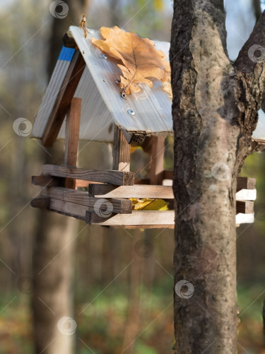 Скачать Кормушка для птиц в осеннем лесу фотосток Ozero