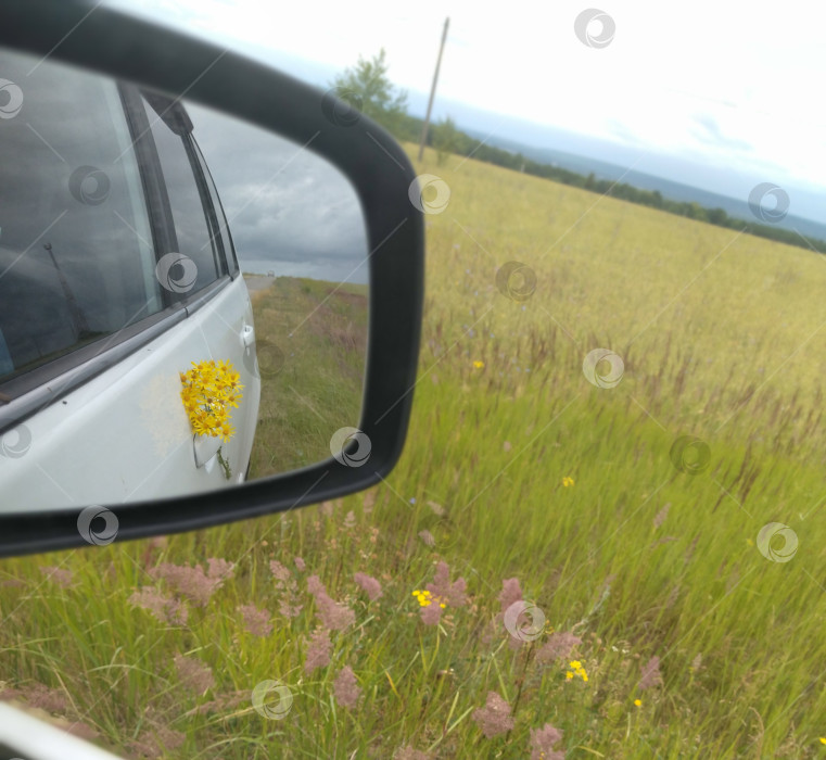 Скачать Отражение букета в боковом зеркале автомобиля фотосток Ozero