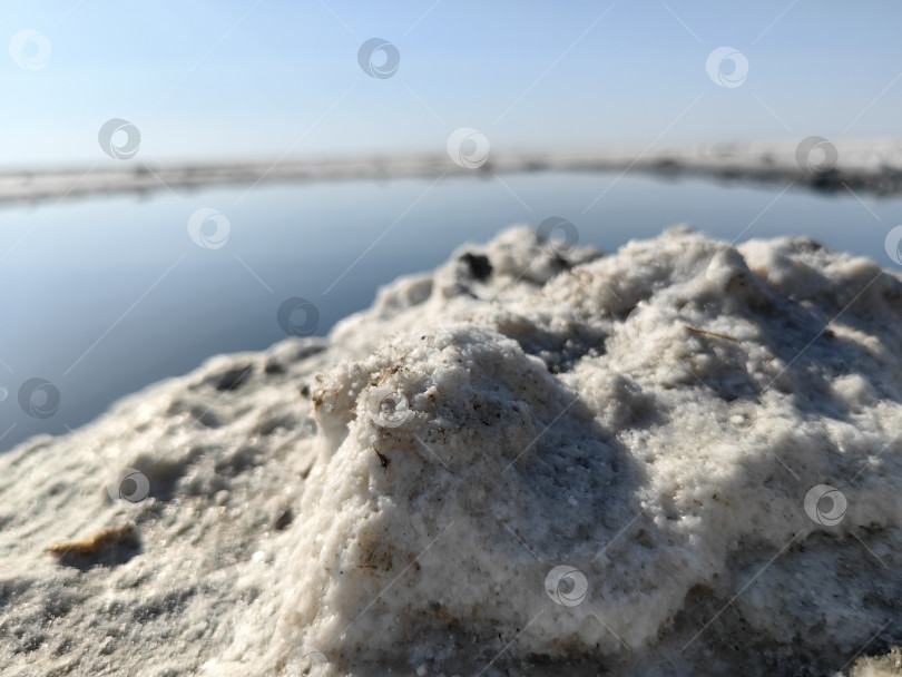 Скачать Макросъемка, солевые отложения на берегу озера Эльтон фотосток Ozero
