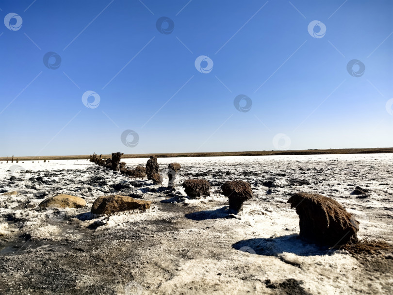 Скачать Остатки свай мостков на озере Эльтон фотосток Ozero