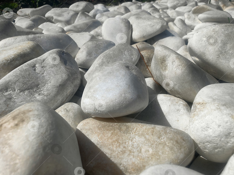 Скачать Светлая галька крупным планом фотосток Ozero