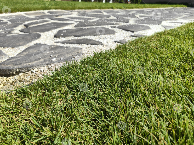 Скачать Фрагмент газона и дорожки, выложенной из камня и гальки фотосток Ozero