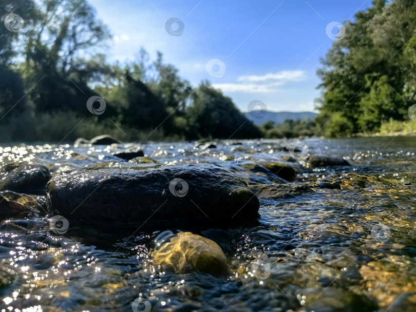 Скачать Горная речка Пшада фотосток Ozero