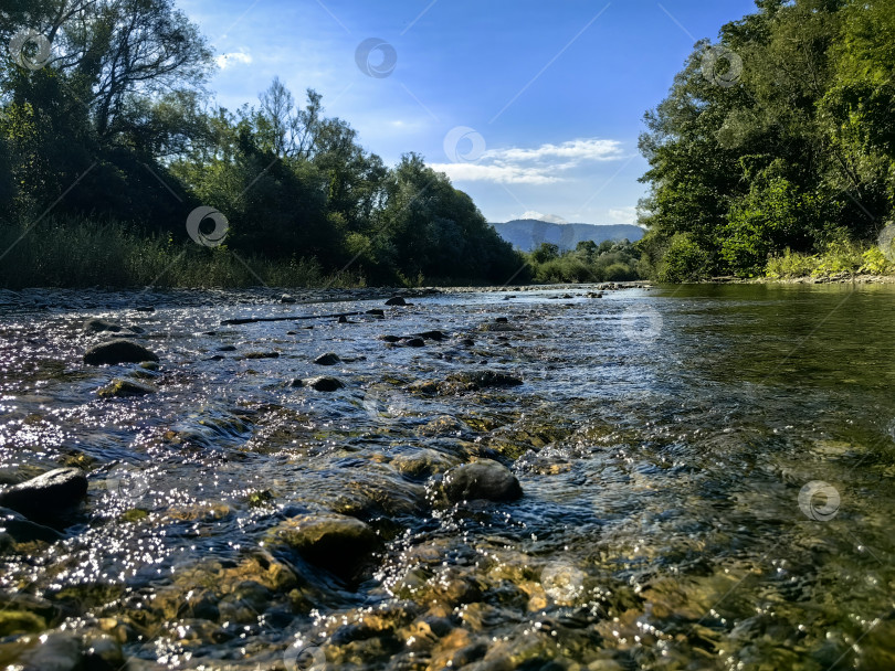 Скачать Горная речка Пшада рядом с селом Береговое. Вид вдоль течения на горы фотосток Ozero