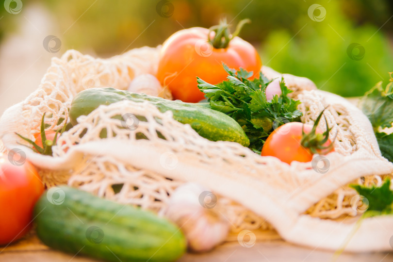 Скачать Свежие сочные овощи, продукты в многоразовом пакете для покупок, авоське из переработанных материалов, на деревянном столе в саду. Вегетарианство. Никакого пластика. Экологичный образ жизни. фотосток Ozero