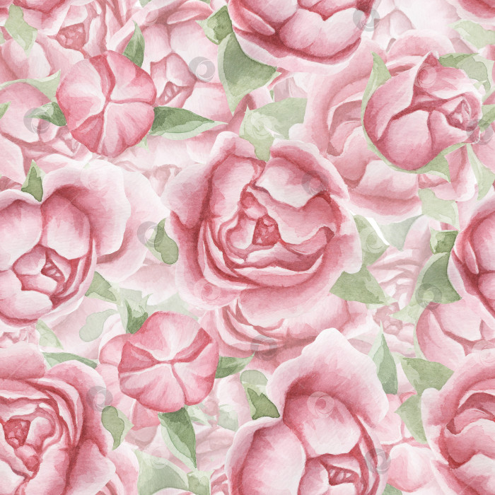 Скачать Цветочный бесшовный узор с нежными розовыми цветами и листьями, нарисованный вручную акварелью фон. фотосток Ozero